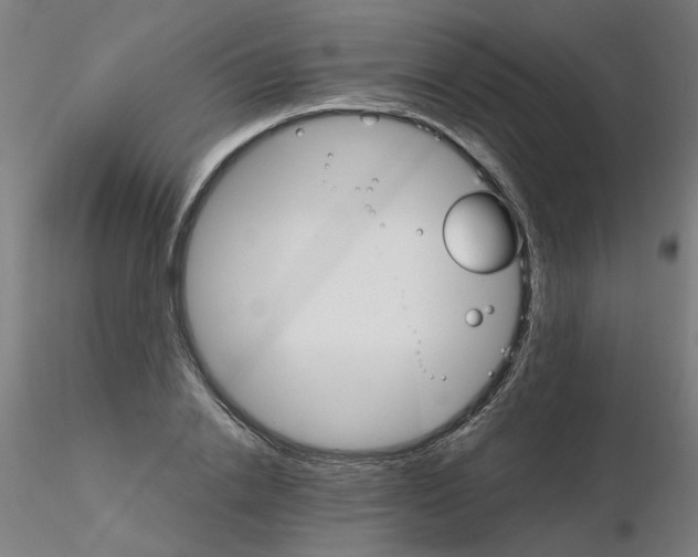 X0000115650838200912221329