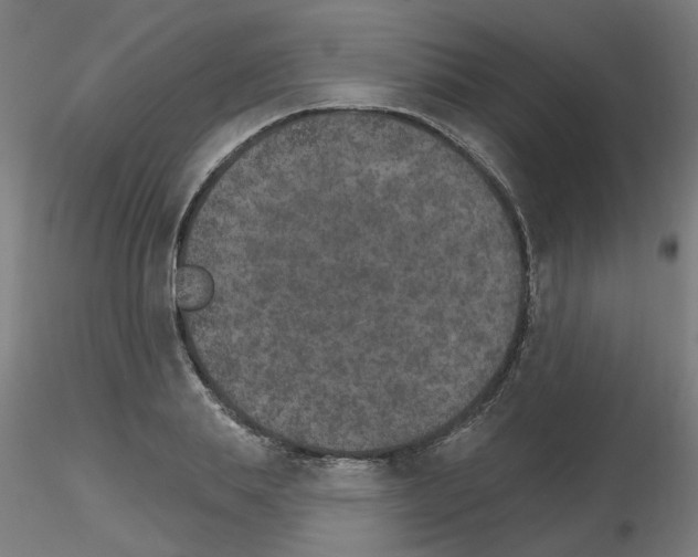 X0000115650839200912221329