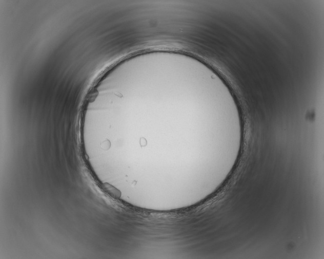 X0000115650840200912221329