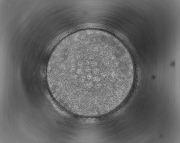 X0000115650841200912221329