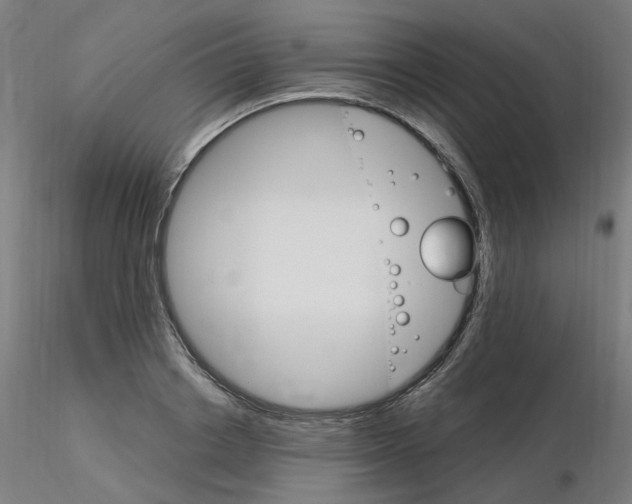 X0000115650842200912221329