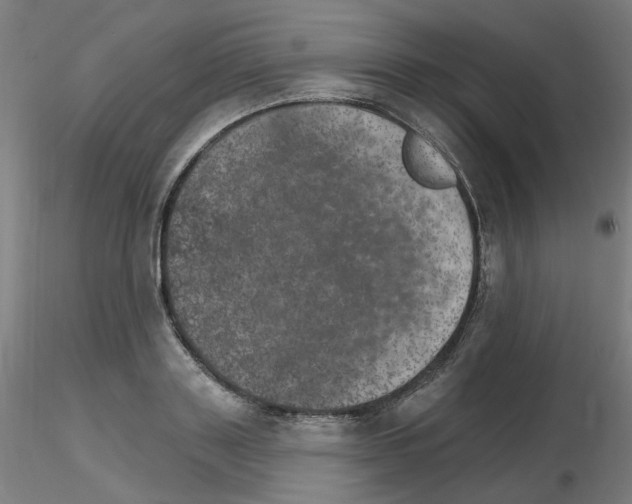 X0000115650843200912221329