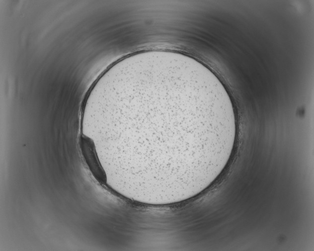 X0000115650844200912221329