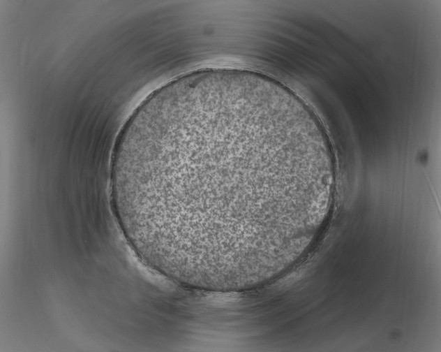 X0000115650845200912221329