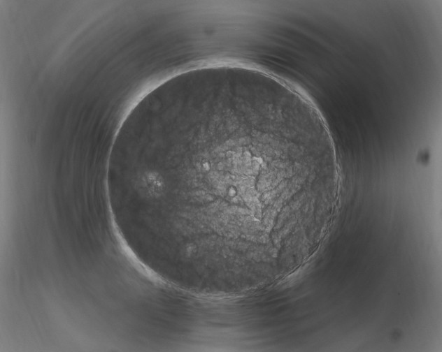 X0000115650847200912221329