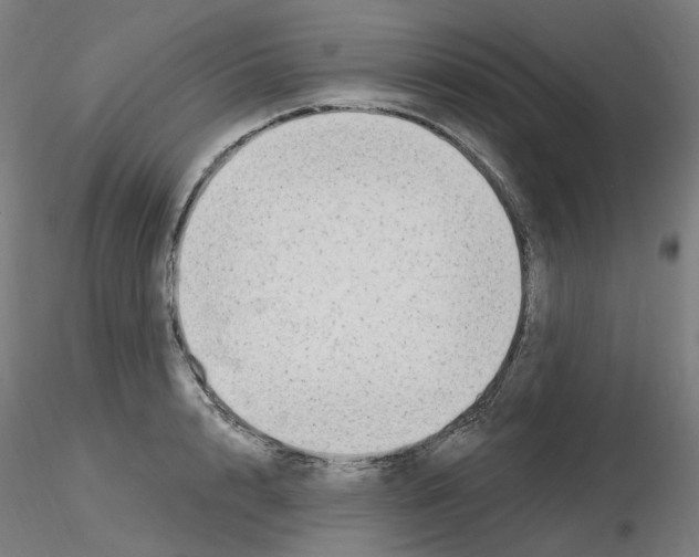 X0000115650848200912221329