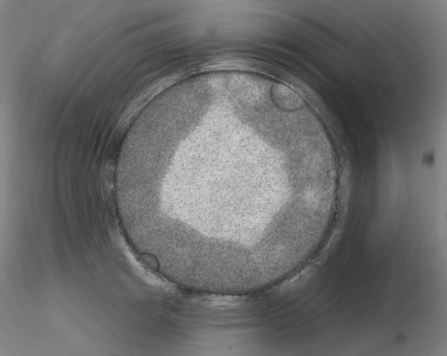 X0000115650849200912221329