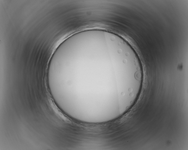 X0000115650850200912221329