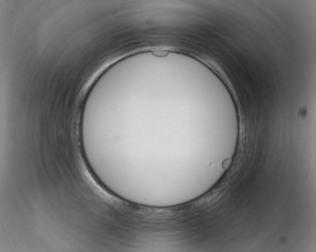 X0000115650851200912221329