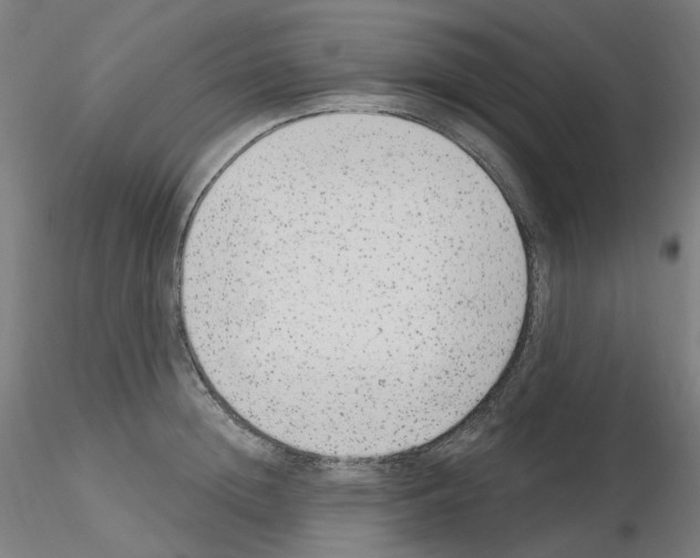 X0000115650852200912221329