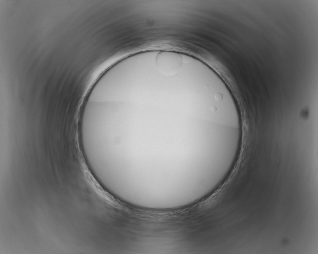 X0000115650854200912221329