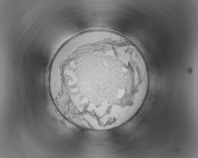 X0000115650856200912221329
