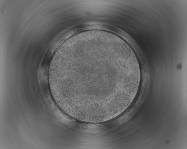 X0000115650857200912221329