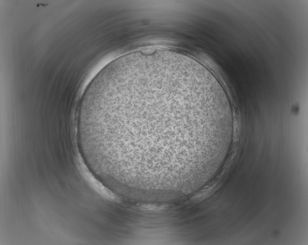 X0000115650859200912221329