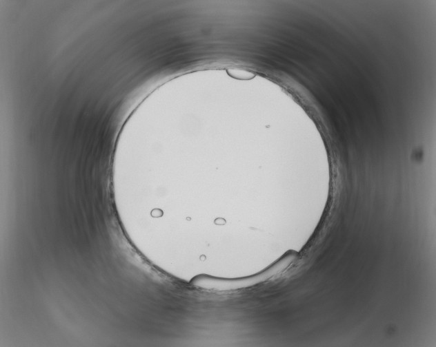 X0000115650860200912221329