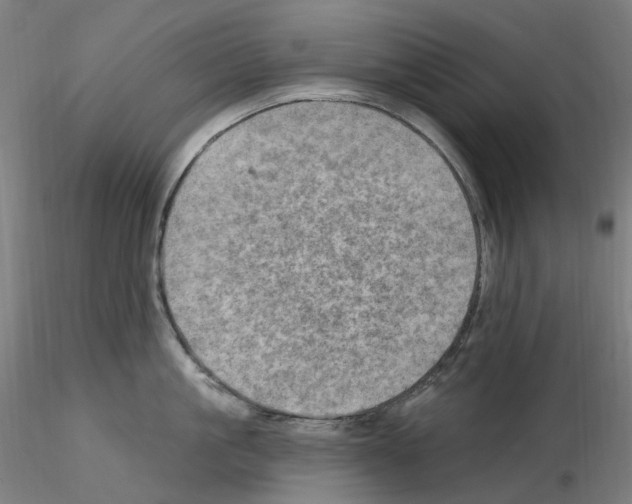 X0000115650861200912221329