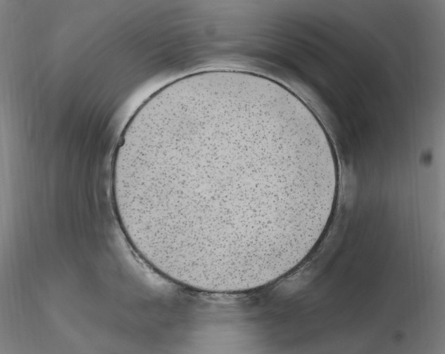 X0000115650862200912221329