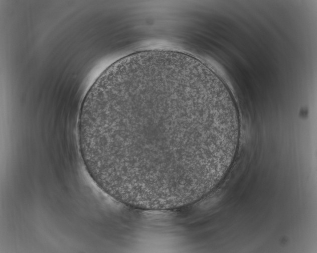X0000115650863200912221329
