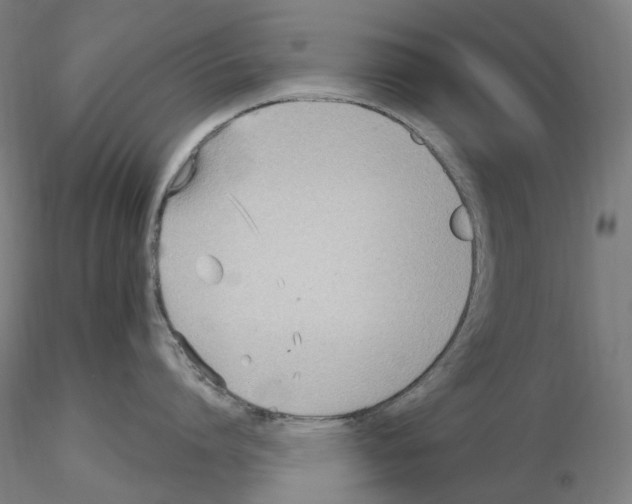 X0000115650864200912221330