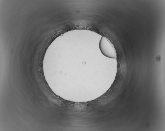 X0000115650865200912221329