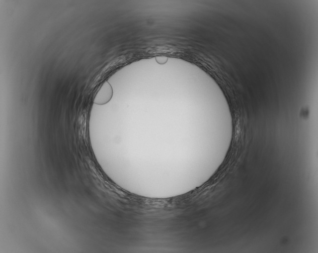 X0000115650866200912221329