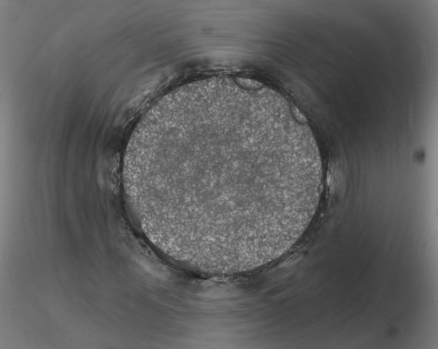 X0000115650867200912221329