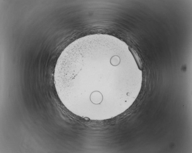 X0000115650868200912221329