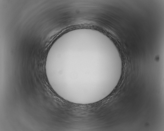 X0000115650869200912221329