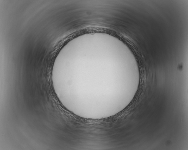 X0000115650870200912221329