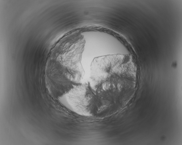 X0000115650871200912221329