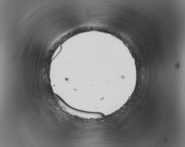 X0000115650872200912221329