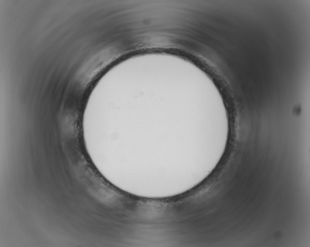 X0000115650873200912221329