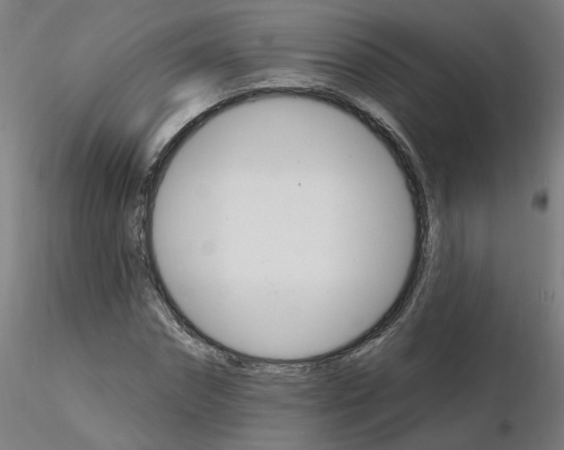 X0000115650874200912221329