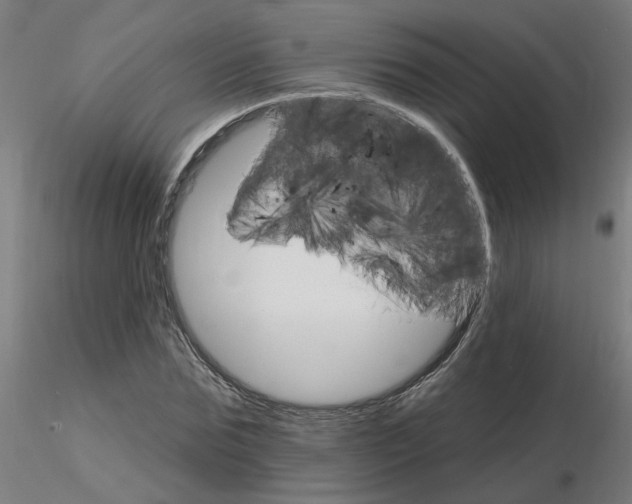 X0000115650875200912221329