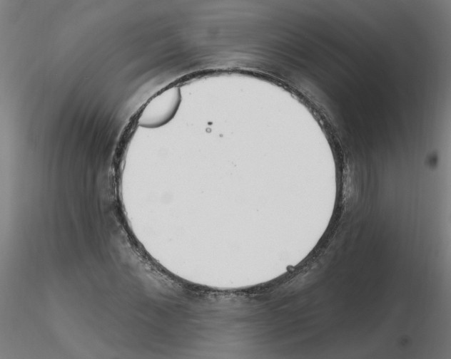 X0000115650876200912221329