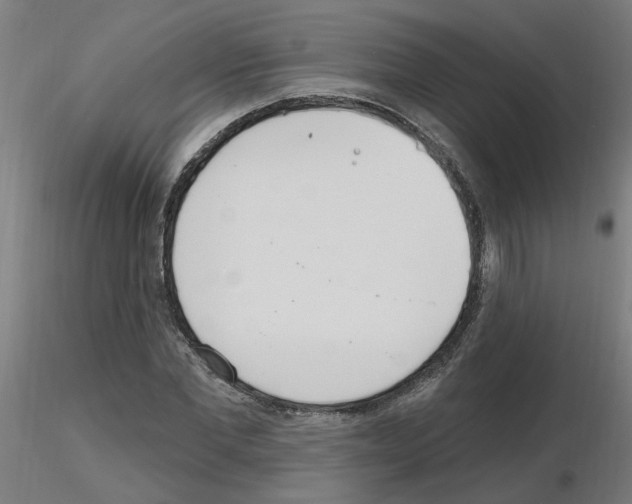 X0000115650877200912221329