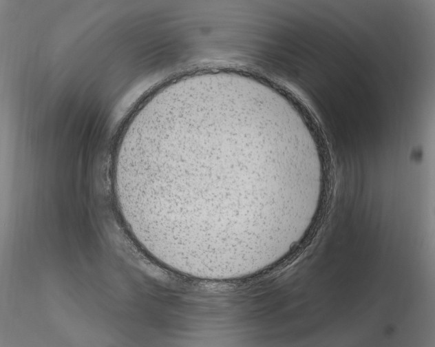 X0000115650878200912221329
