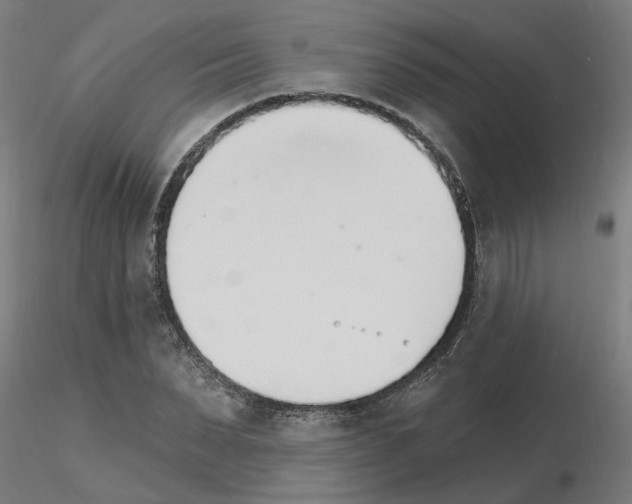 X0000115650879200912221329