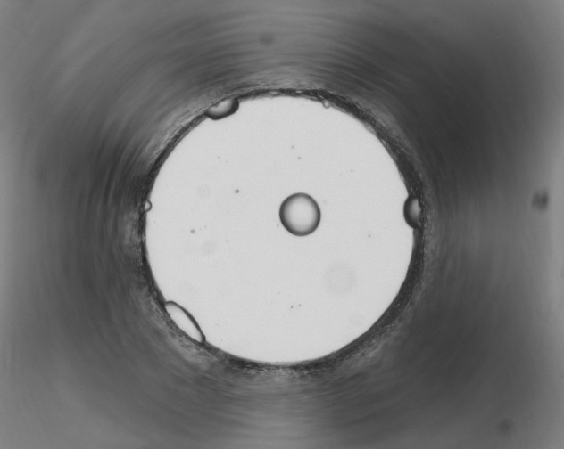 X0000115650881200912221329