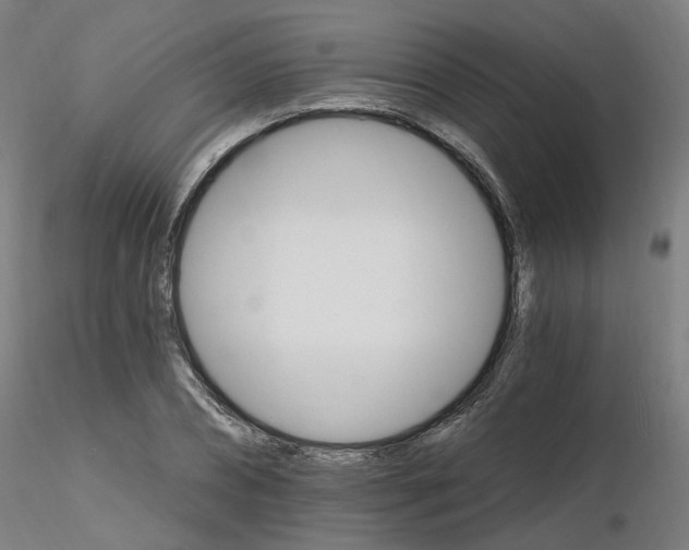 X0000115650882200912221329