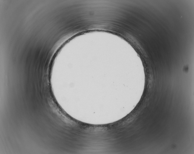 X0000115650884200912221329