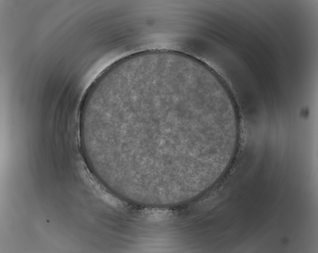 X0000115650886200912221329