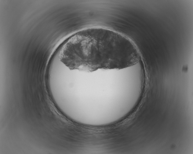 X0000115650887200912221329