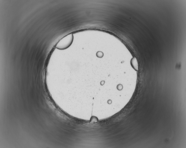 X0000115650888200912221329