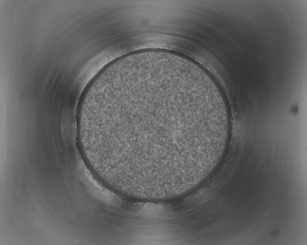 X0000115650890200912221329