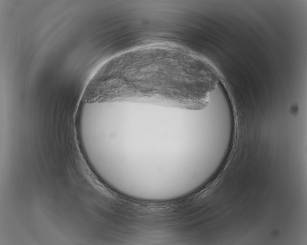 X0000115650891200912221329