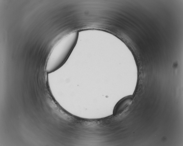 X0000115650892200912221328