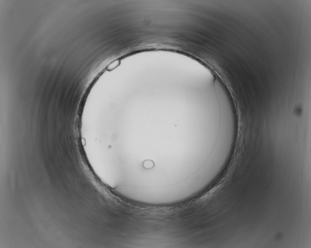 X0000115650893200912221328