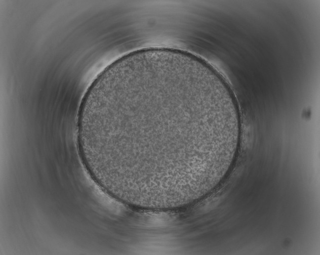 X0000115650895200912221328