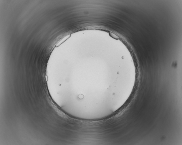 X0000115650897200912221328